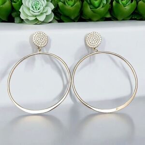 New Zaxie by Stephanie Taylor Hoop Earrings Huge Silver Tone Crystal - 8E